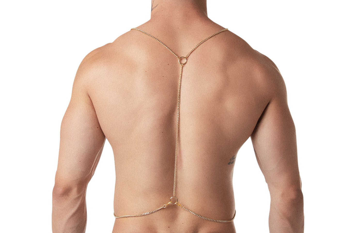 Harness Corrente VS
