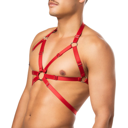 Top Harness