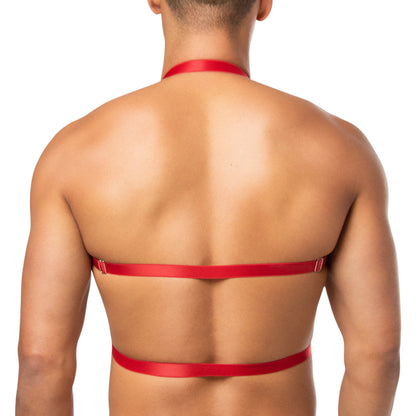 Top Harness