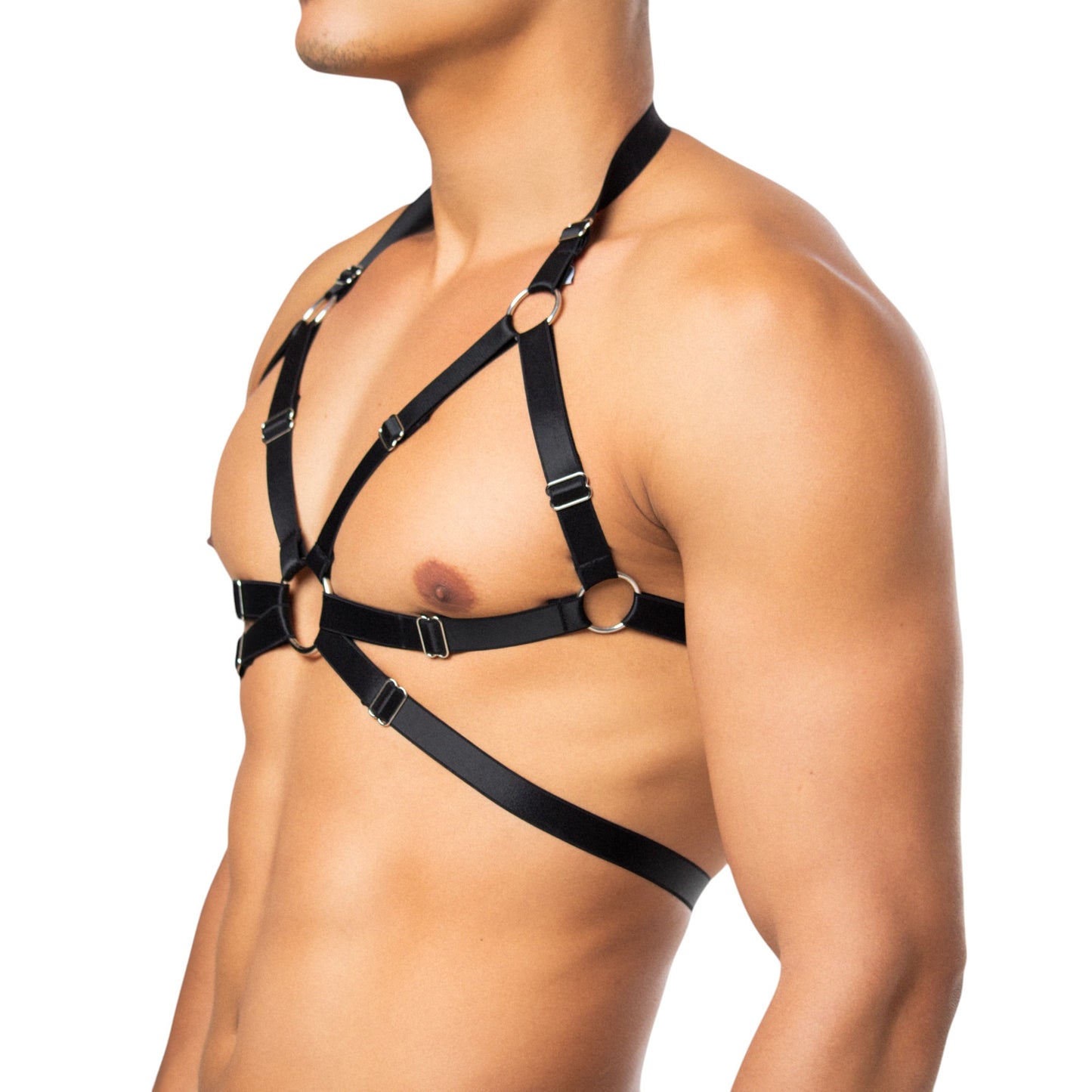 Top Harness