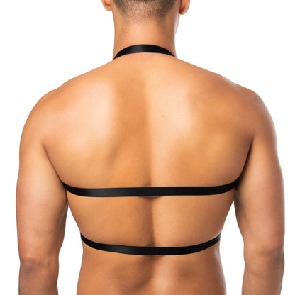 Top Harness