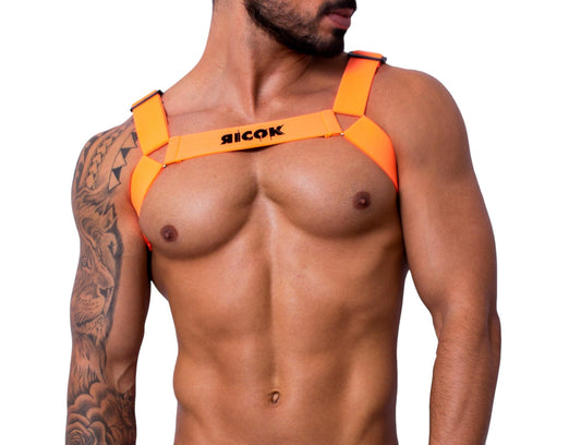 Harness Ricok ID