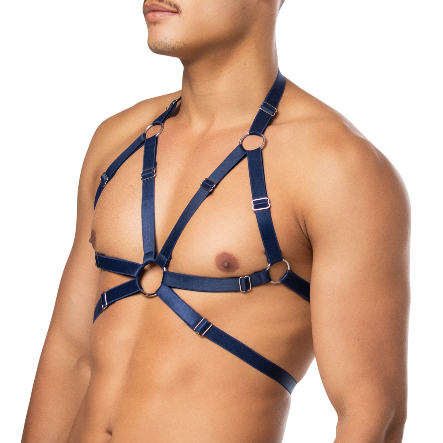 Top Harness