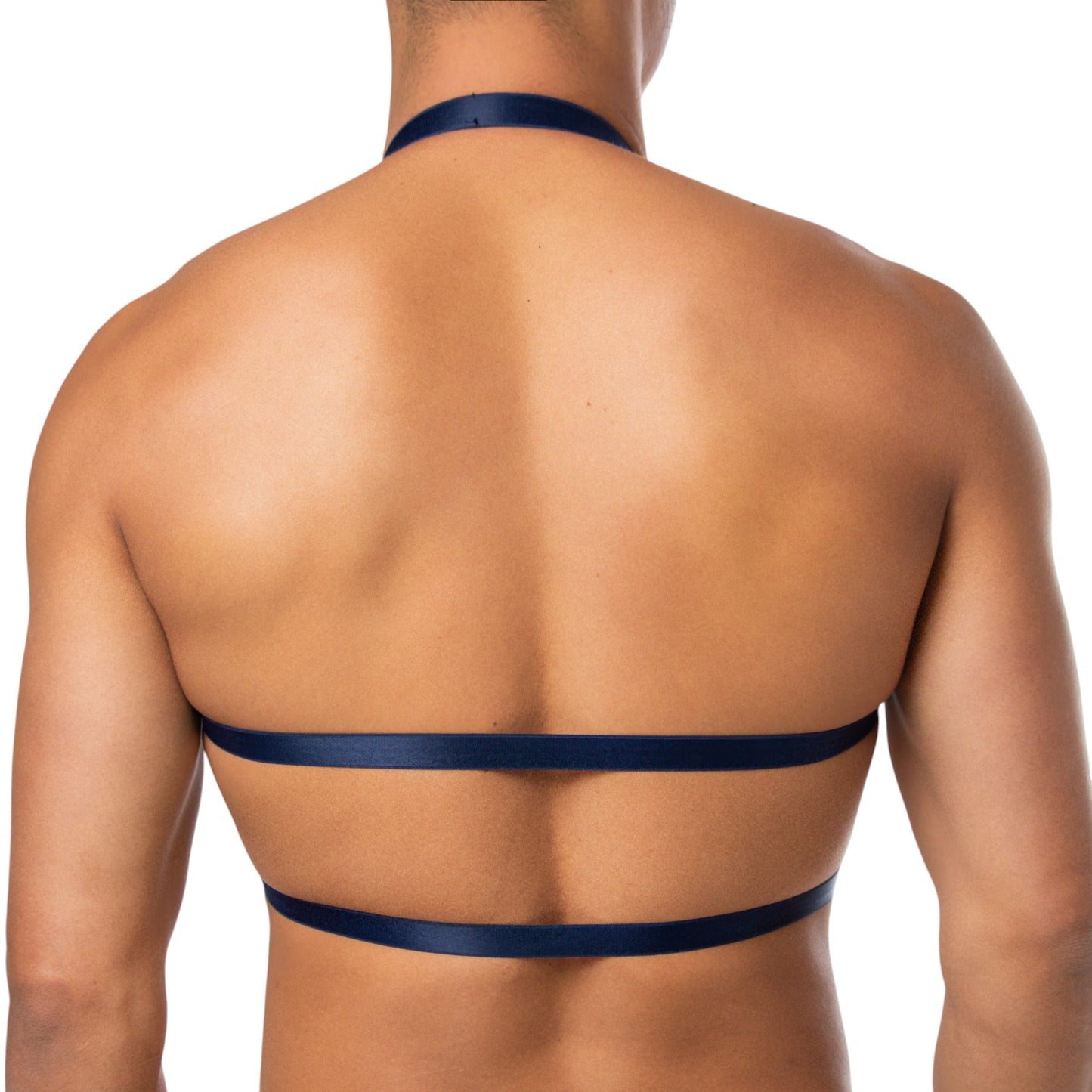 Top Harness