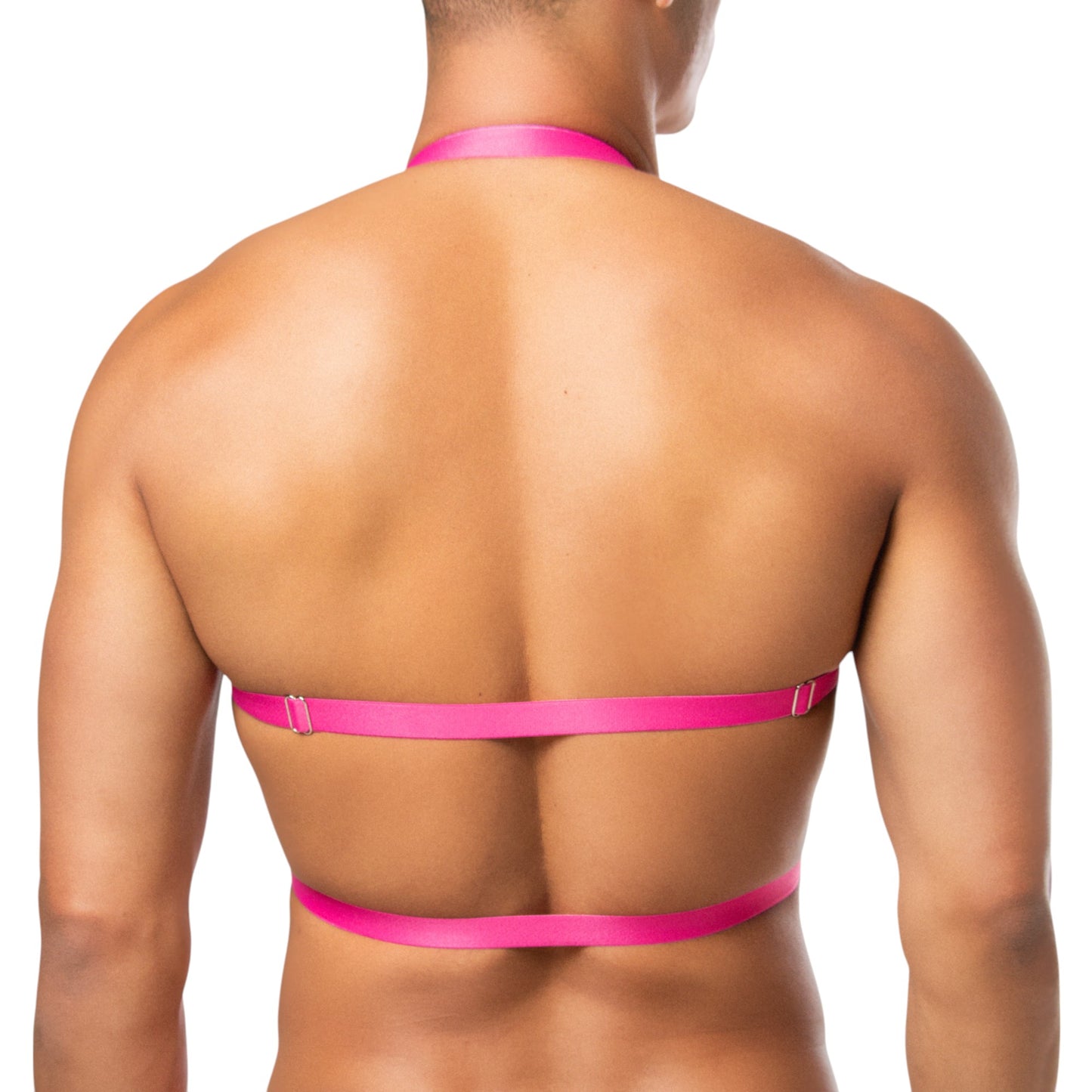 Top Harness